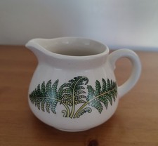 Taunton Vale Howard Fern Butterfly Jug