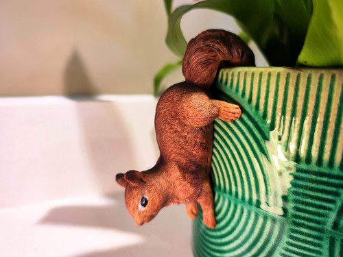 Red squirrel tail hanging - red,