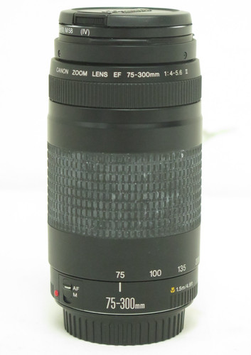 Canon 300mm zoom lens - 75-300mm,