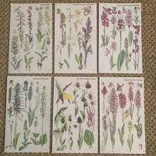 6x Vintage 1974 Botanical Book