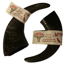 Buffalo Horn Treats Nova Dog