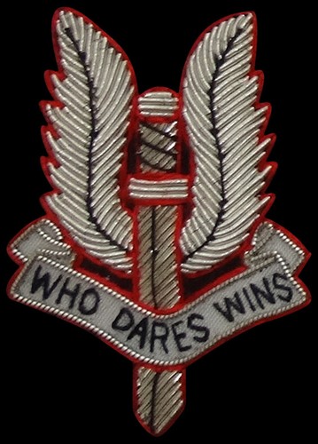Sas blazer badge - badge,, air