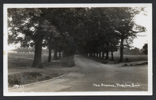 Postcard theydon bois - theydon, nr