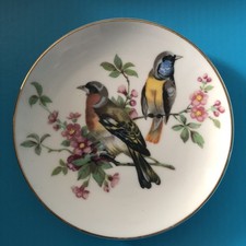 Schumann Arzberg Bavaria Bird