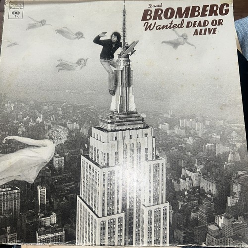 David bromberg erry garcia - bromberg+erry,