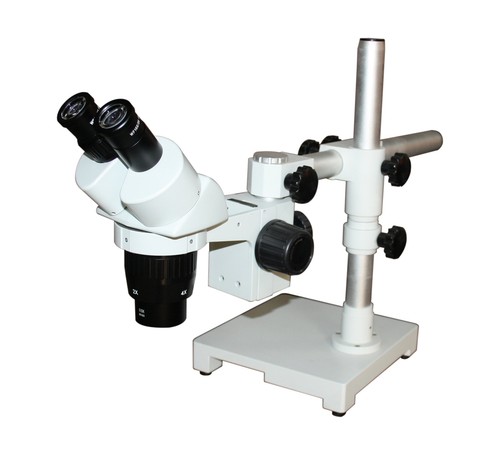 Radical 20x 40x - 20x-40x, stereo
