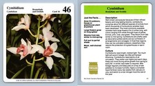 Cymbidium #14 Orchids - My Green Gardens 1987 Cardmark Card