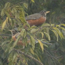 Aaron YOUNT "An Eye For