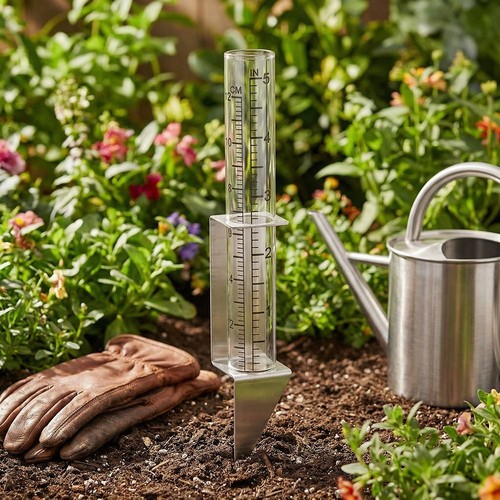 Glass rain gauge outdoor - rain,