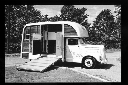 Cv133 horse box photograph - horse,