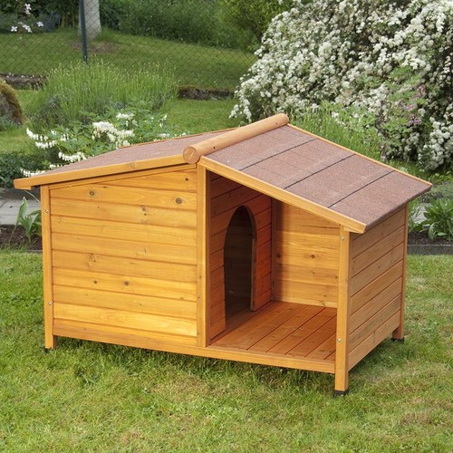 All season wooden - all-season, dog
