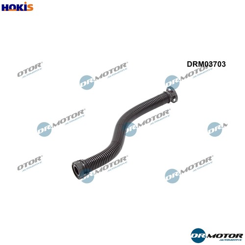 Hose cylinder head - cylinder,