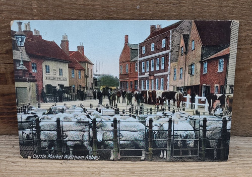 Old postcard cattle market - old,