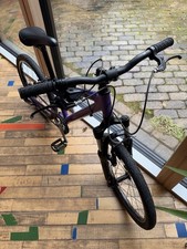 Purple Ridgeback Dimension