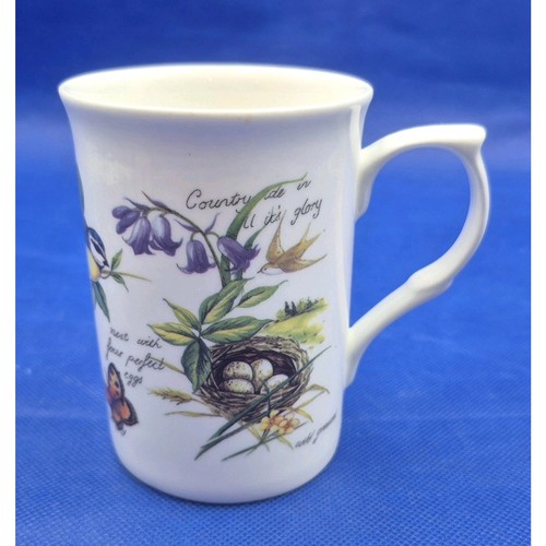 Rose england white fine - of,