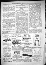 Old 1881 Advertisement Holland