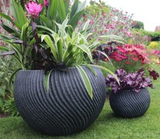 40cm Swirl Bowl Plant Flower