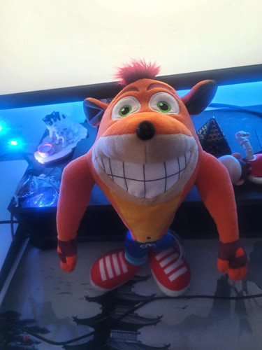 Crash bandicoot plush - bandicoot,