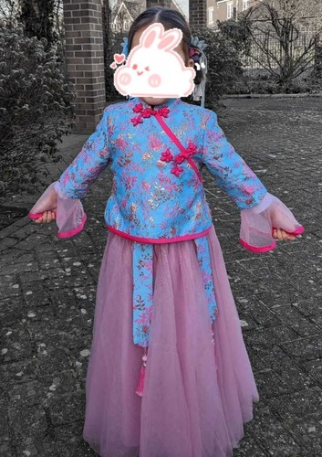 Traditional embroidery chinese - traditional,