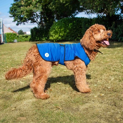 Ancol ice paws dog cooling - ancol,