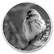2 x Vinyl Stickers 15cm (bw) -