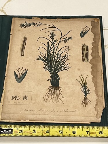 Original hand colored - original, hand-colored