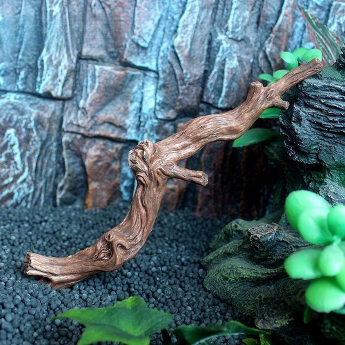 Reptile corner climbing - corner,