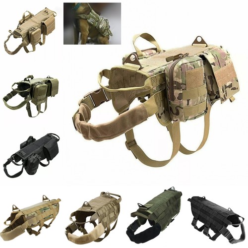 Tactical dog hunting training - dog,