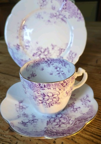 Foley china 1890s wileman - 1890s,