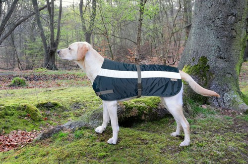 Flecta vis dog jacket coat - hi-vis,