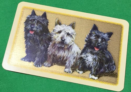 Playing cards single - cards,