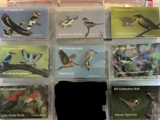 None RSPB Badges 8 pin badges