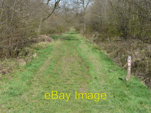 Photo 6x4 balls wood eastern - balls,