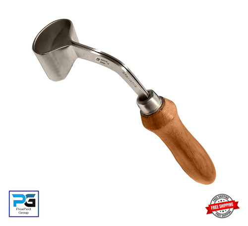 Professional horse hoof - horse,