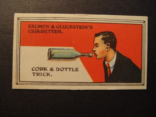 Salmon gluckstein magical - salmon,