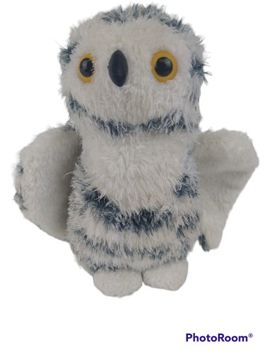 Douglas snowy owl animal - snowy,