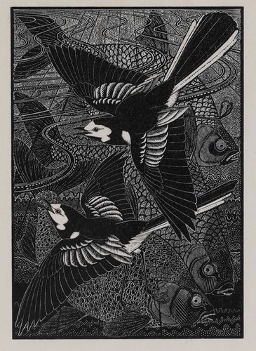 Colin see paynton - see-paynton,