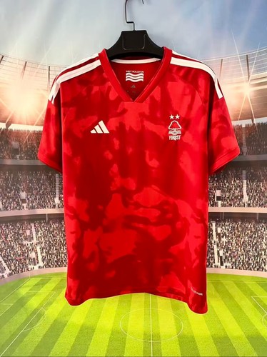 Nottingham forest home - nottingham,