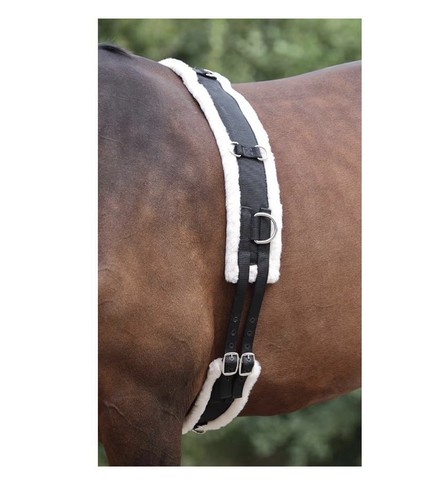 Shires nylon lunge roller with - nylon,