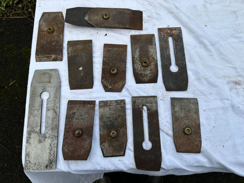 Large lot marples - lot,