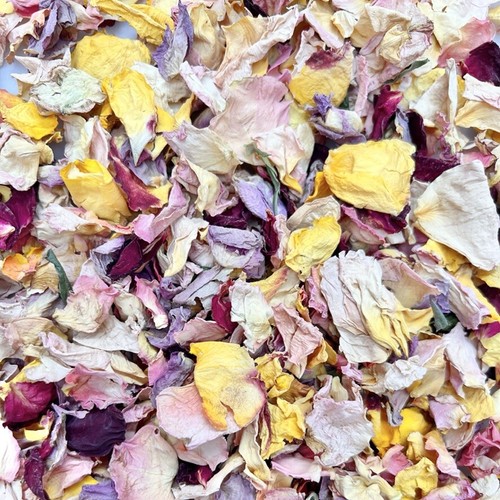 Biodegradable wedding confetti - biodegradable,