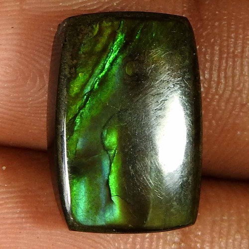 Natural multi ammolite - ct,