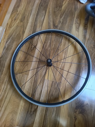 Campagnolo bicycle cycle - bicycle, bike