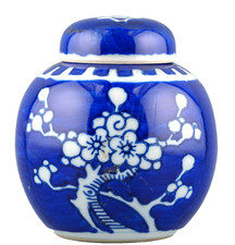 Chinese Porcelain Ginger Jar