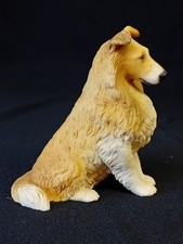Castagna 'Rough Collie'