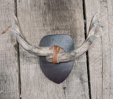 Mini Deer Antler Plaque Wall