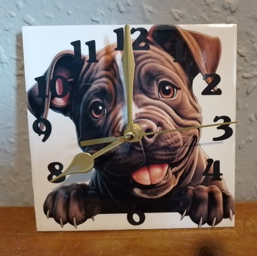 Staffordshire bull terrier - bull,