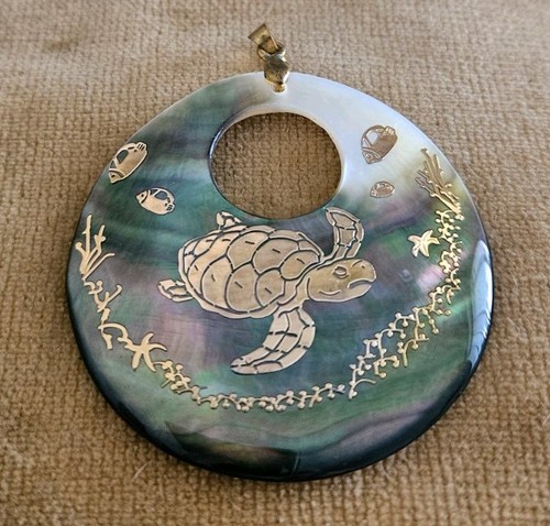 Irisdescent abalone with - irisdescent,