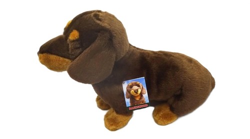Dachshund chocolate red - &,