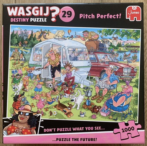 Wasgij destiny pitch - destiny, 29